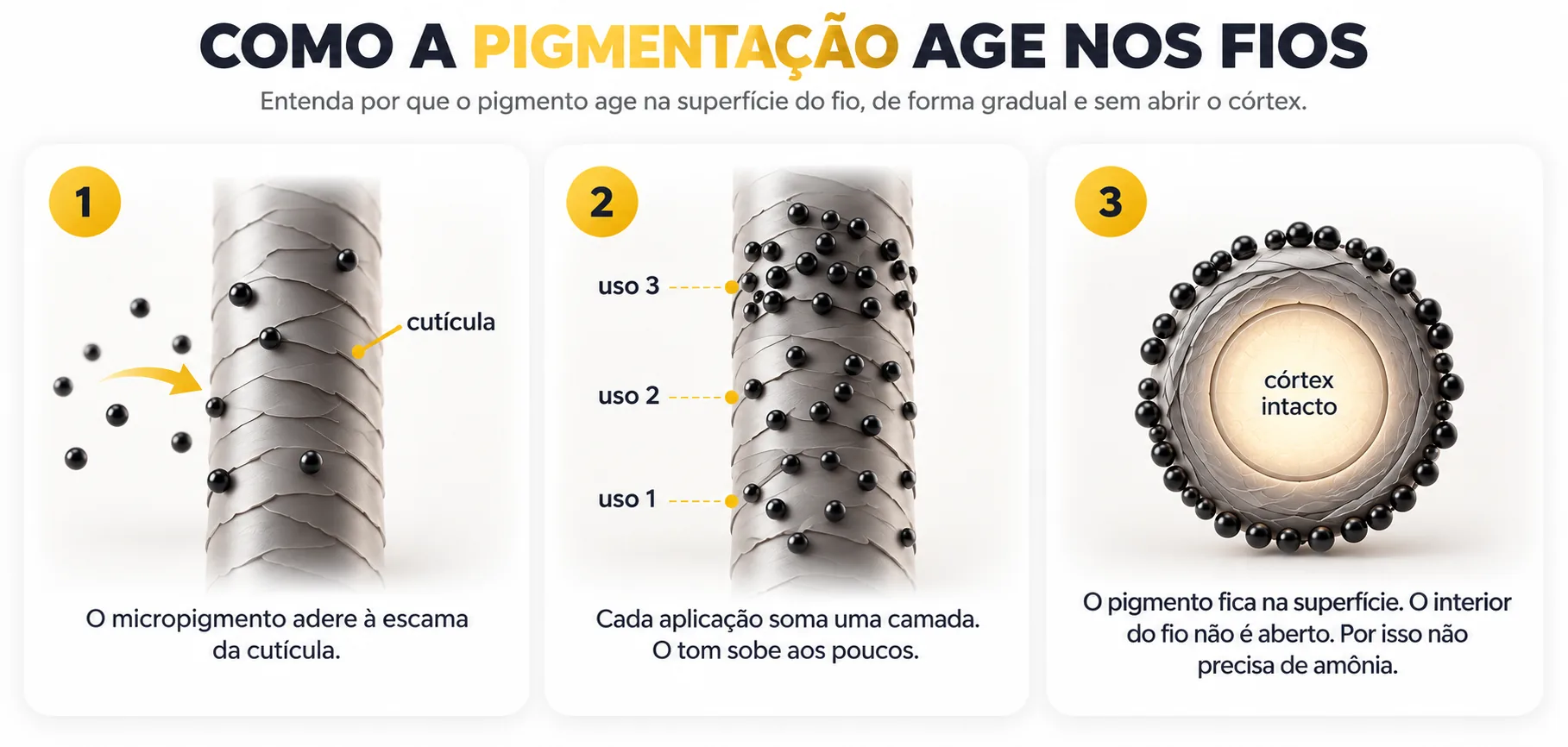 Como a pigmentação age nos fios: o micropigmento adere à cutícula, cada aplicação soma uma camada e o interior do fio não é aberto